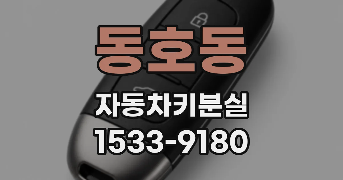 동호동 자동차키분실