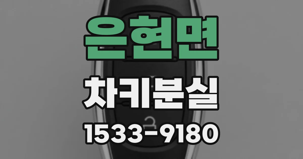 은현면 차키분실