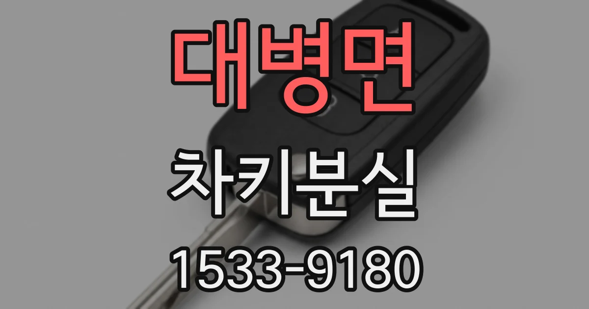 대병면 차키분실