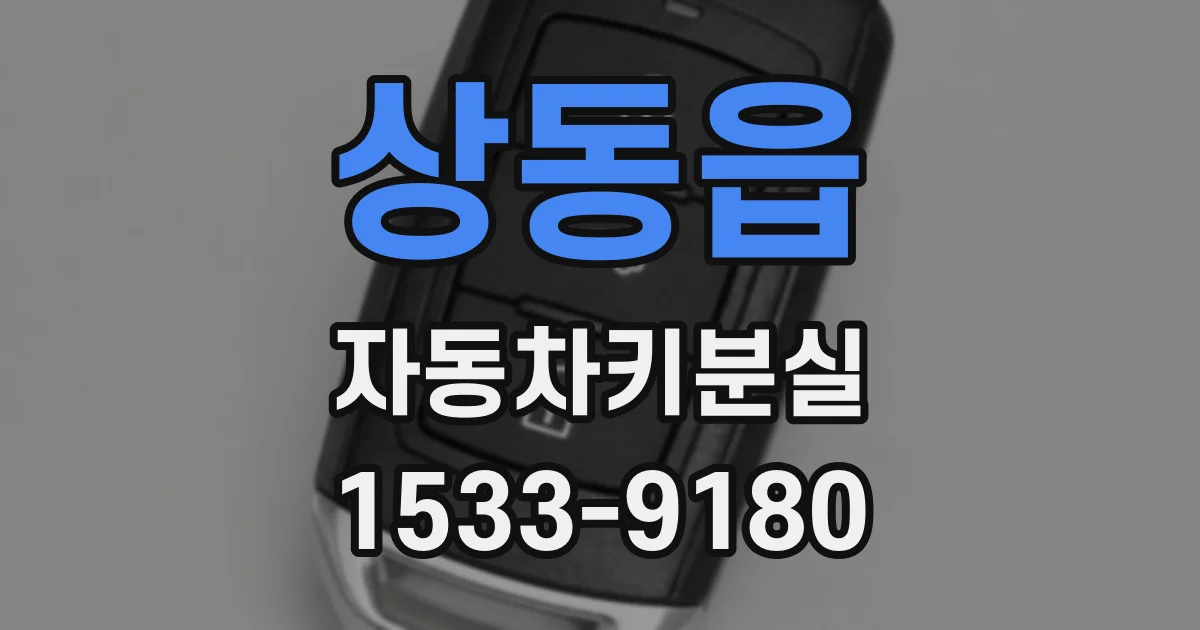 상동읍 자동차키분실