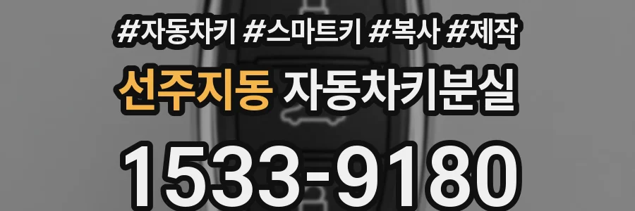 선주지동 자동차키분실
