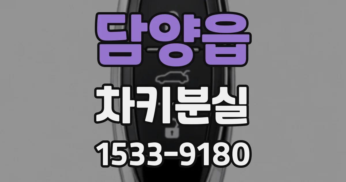 담양읍 차키분실