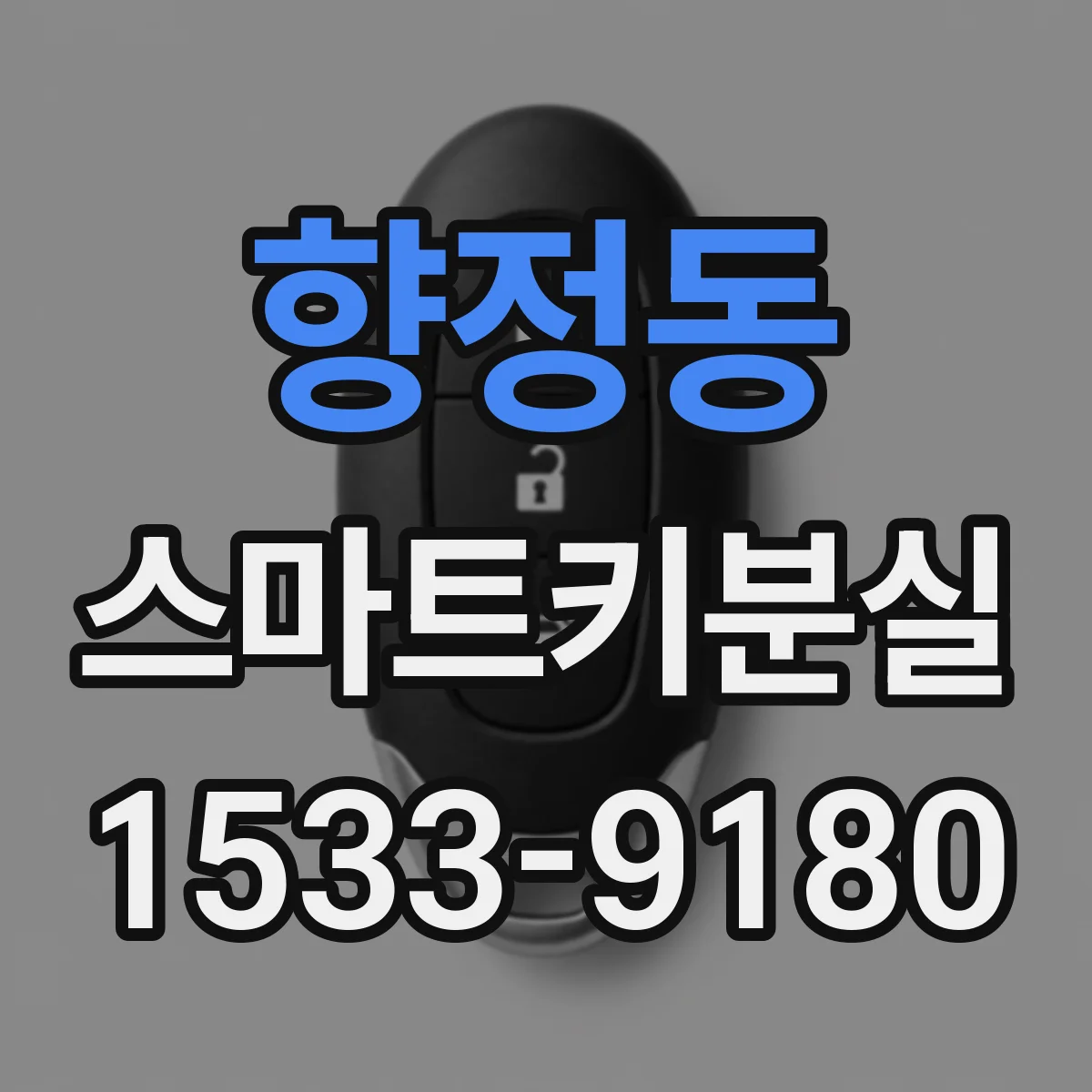 향정동 스마트키분실