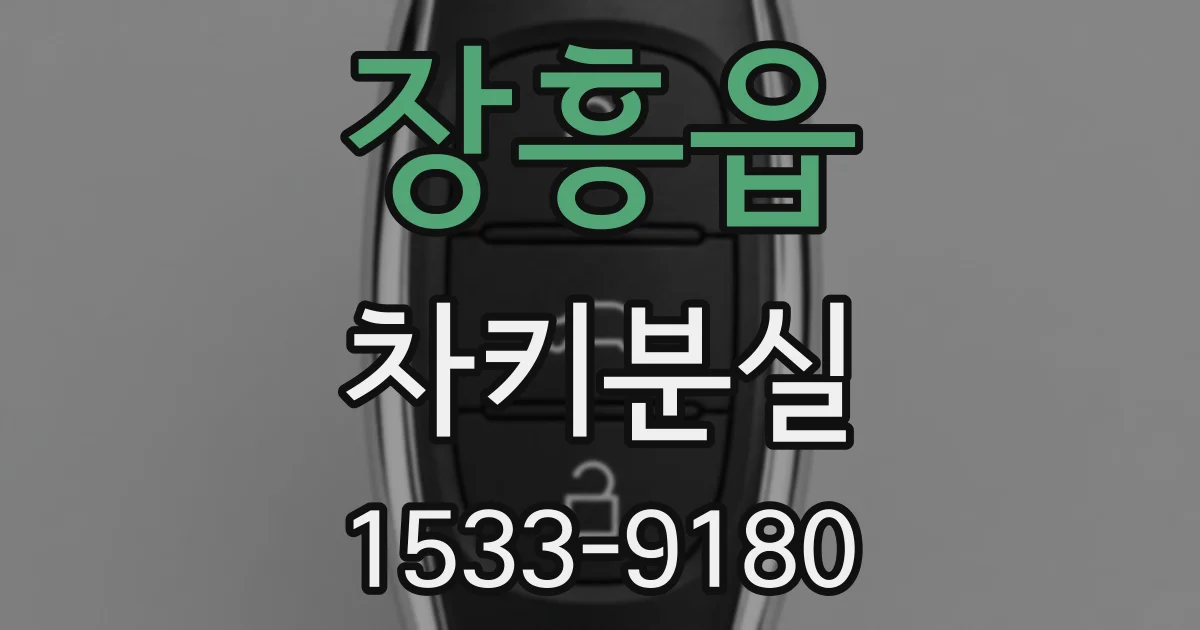 장흥읍 차키분실
