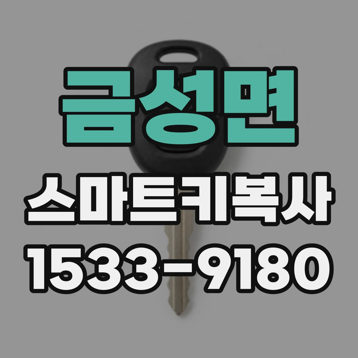 금성면 스마트키복사