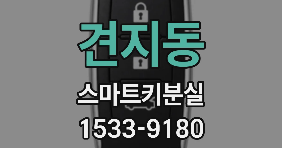 견지동 스마트키분실