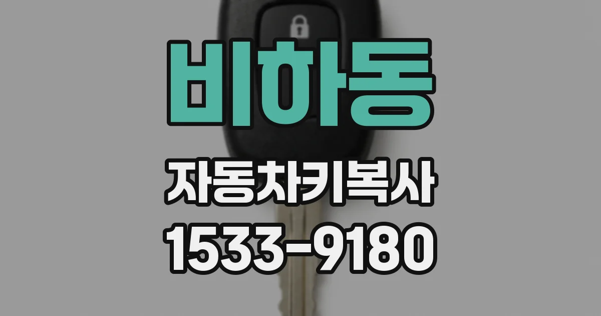 비하동 자동차키복사