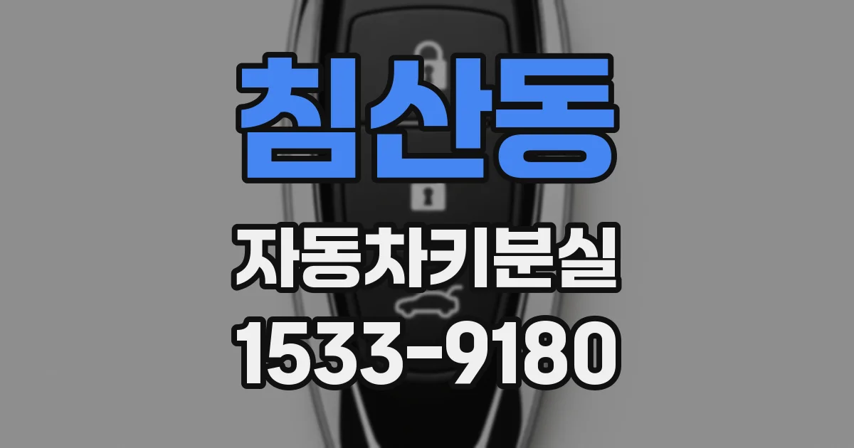 침산동 자동차키분실