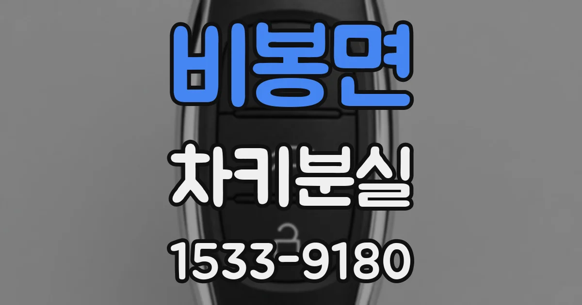 비봉면 차키분실