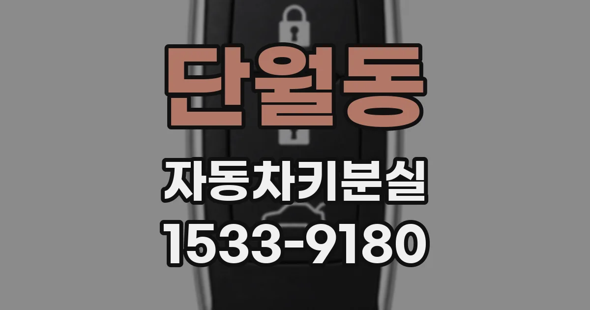 단월동 자동차키분실