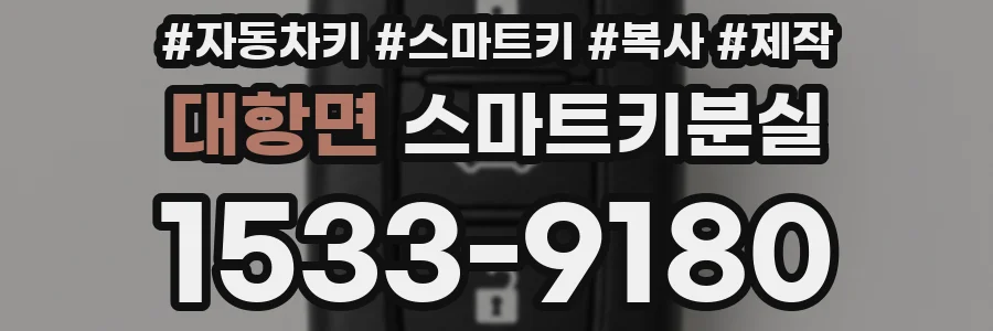 대항면 스마트키분실