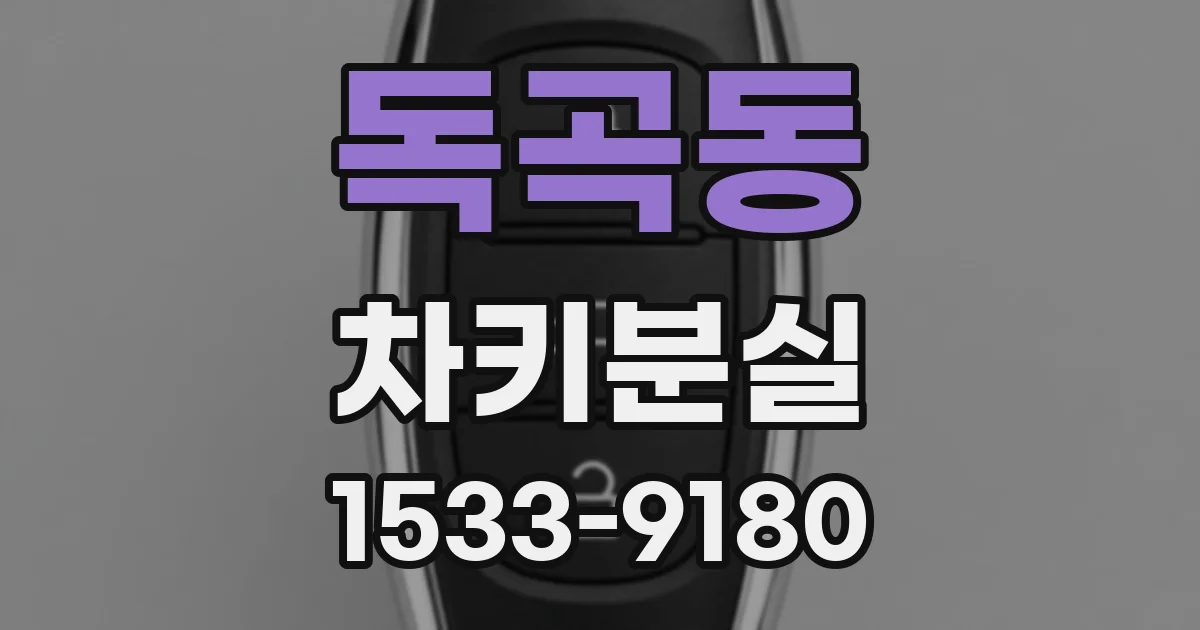 독곡동 차키분실