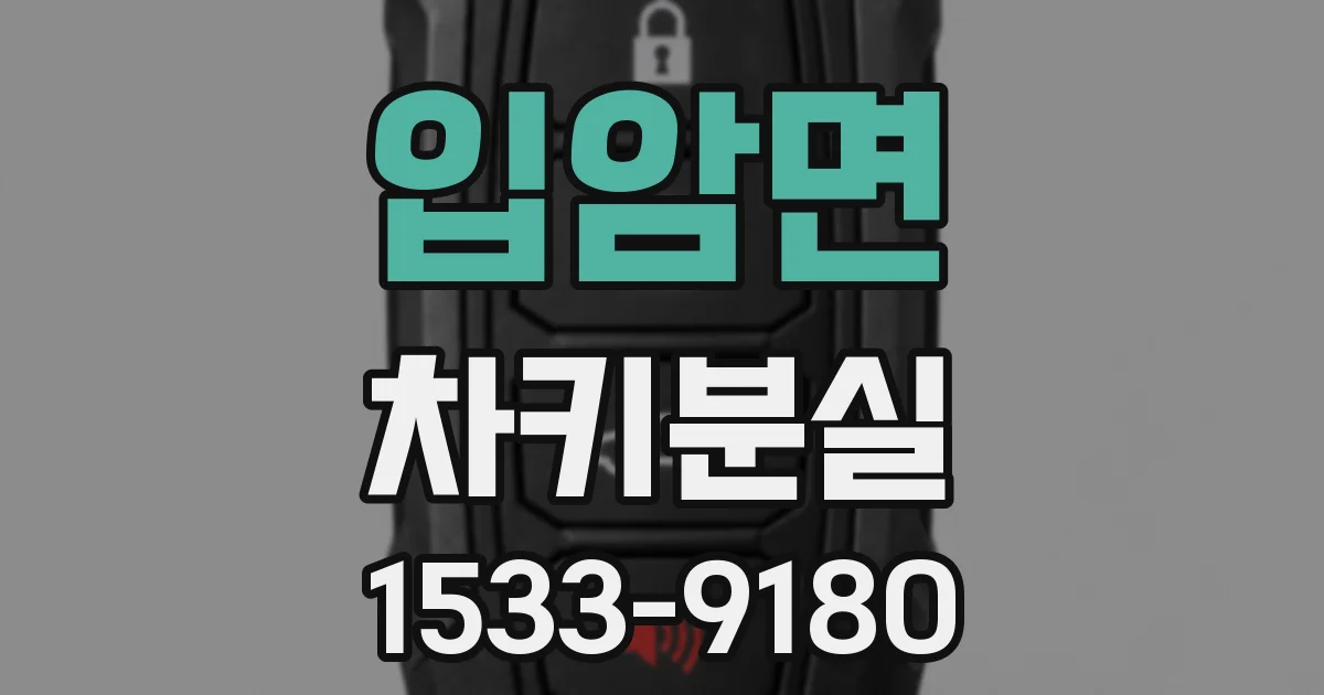 입암면 차키분실