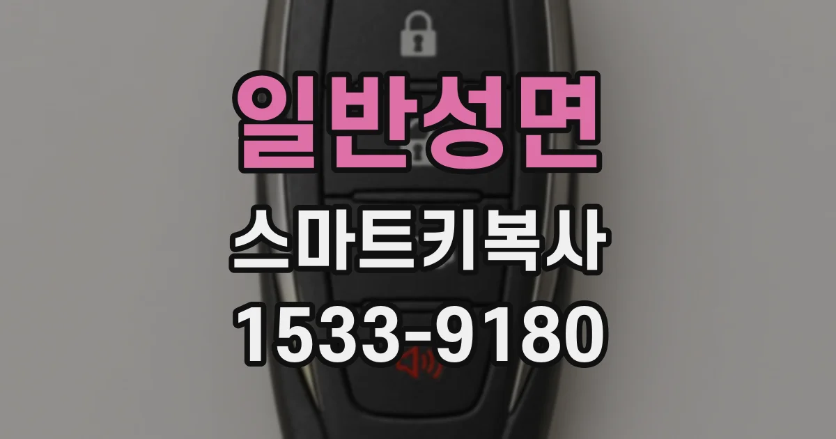 일반성면 스마트키복사