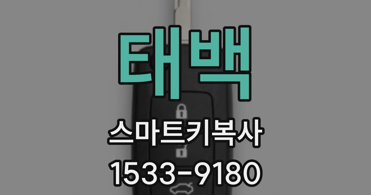태백 스마트키복사