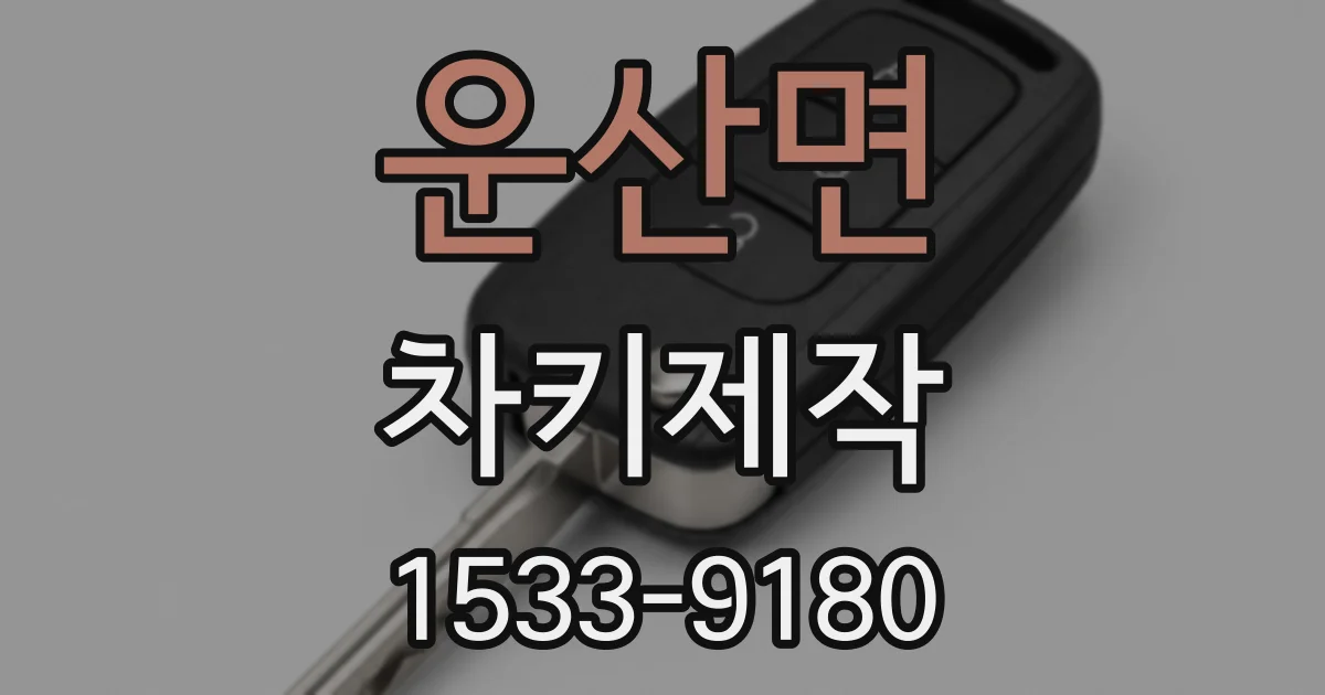 운산면 차키제작