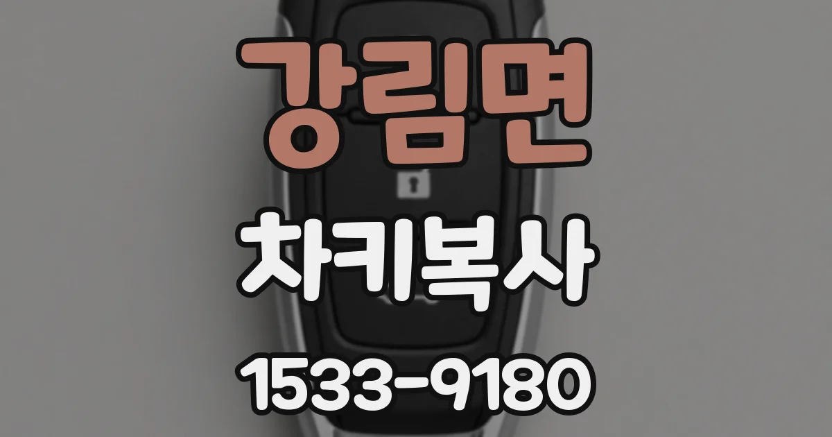 강림면 차키복사