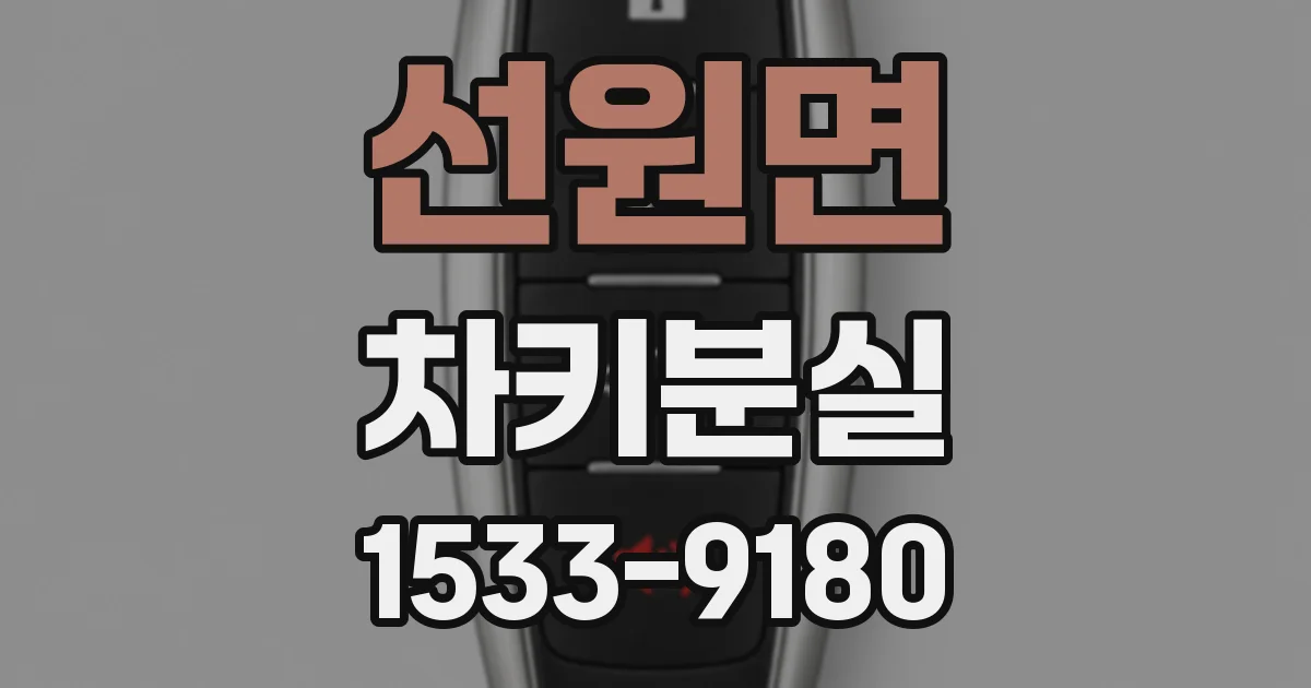 선원면 차키분실