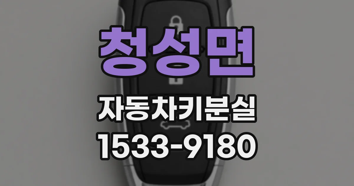 청성면 자동차키분실