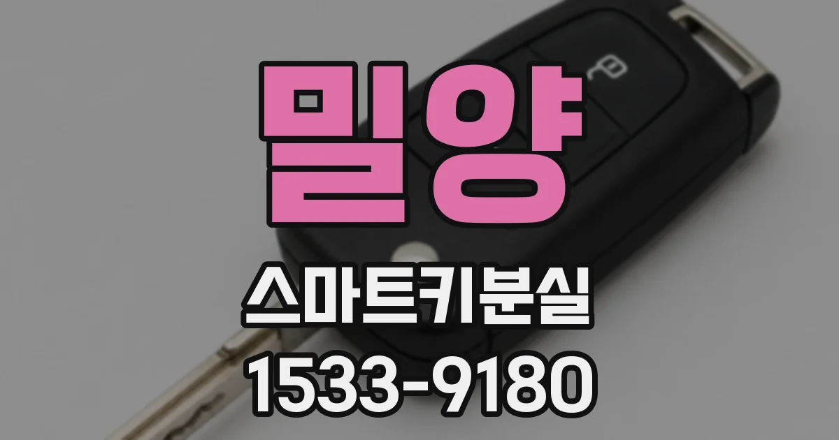 밀양 스마트키분실