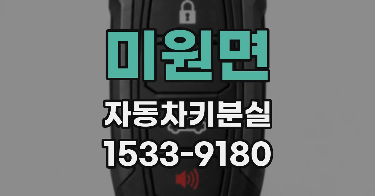 미원면 자동차키분실