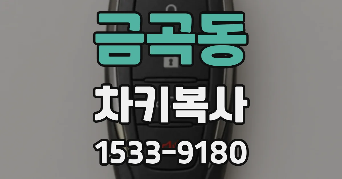 금곡동 차키복사