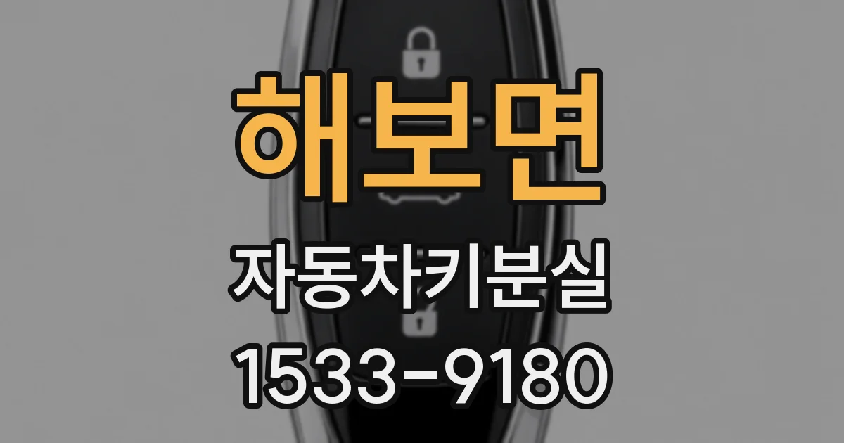 해보면 자동차키분실