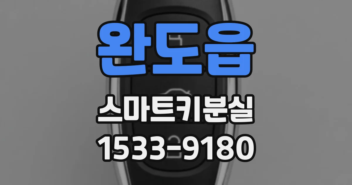 완도읍 스마트키분실