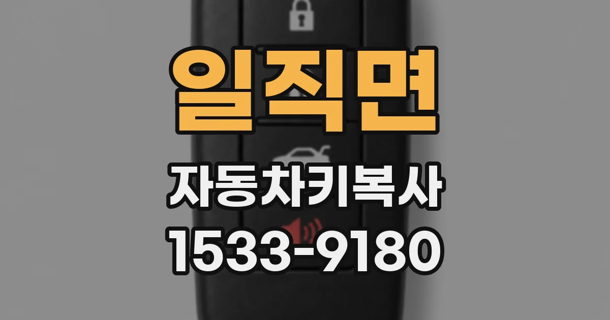 일직면 자동차키복사
