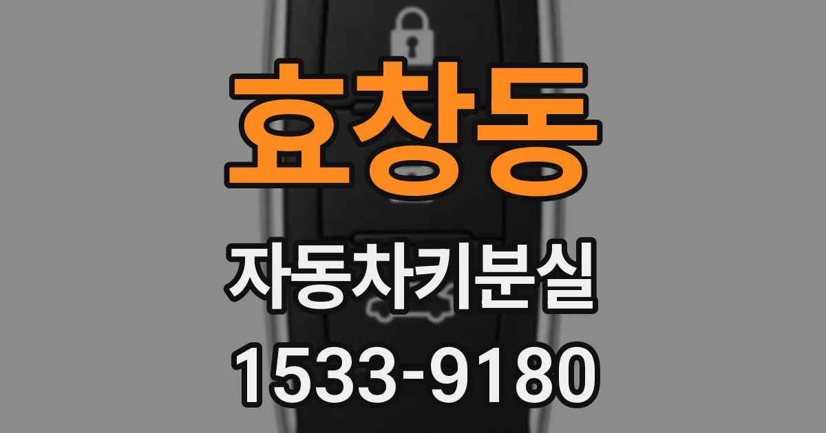 효창동 자동차키분실