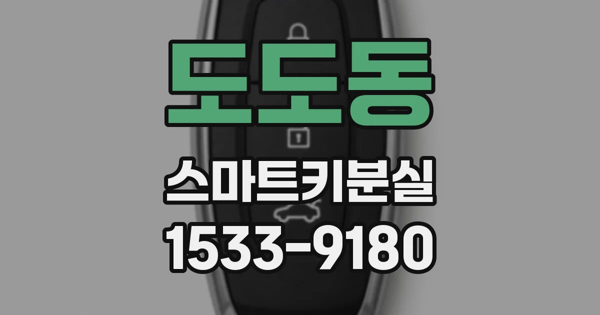 도도동 스마트키분실