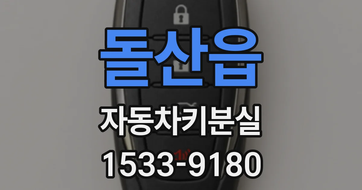돌산읍 자동차키분실