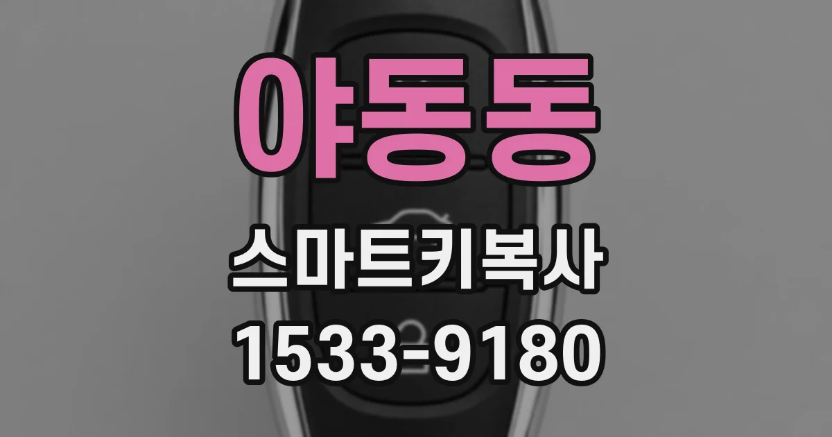 야동동 스마트키복사