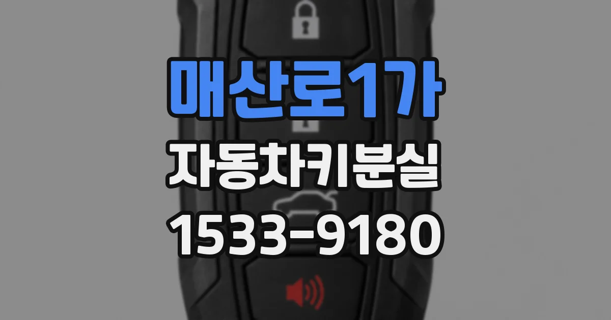 매산로1가 자동차키분실