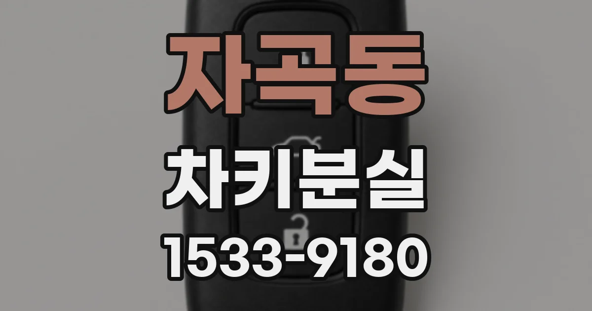 자곡동 차키분실