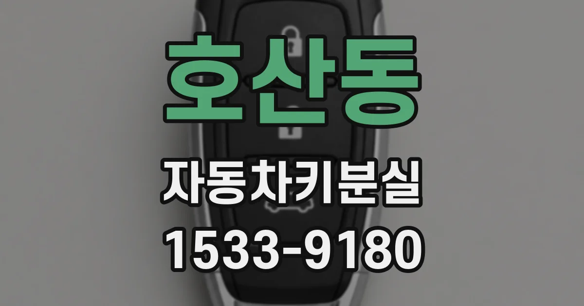 호산동 자동차키분실