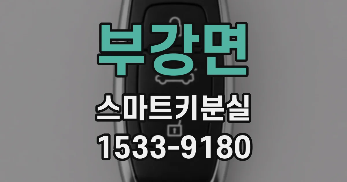 부강면 스마트키분실