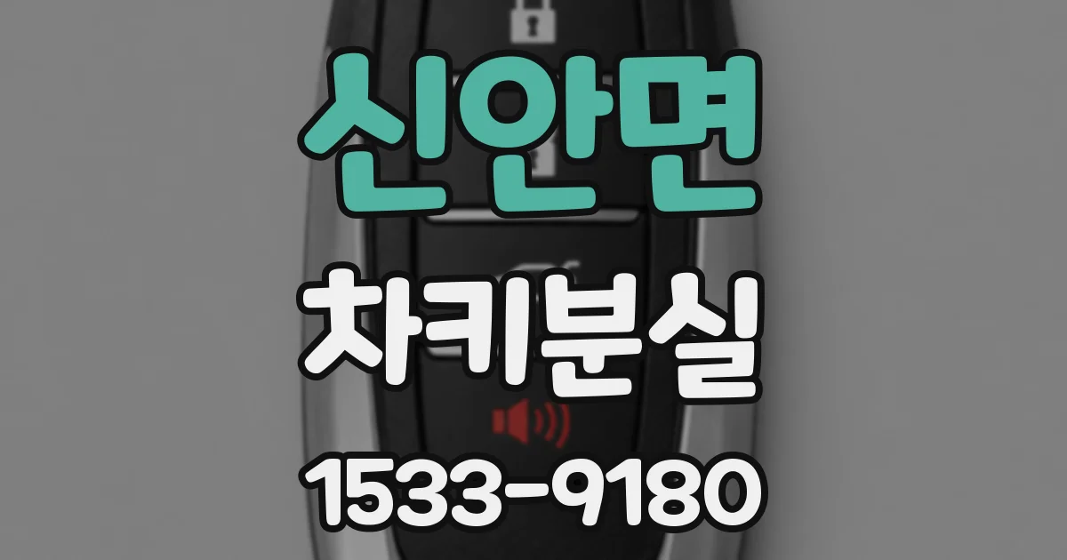 신안면 차키분실