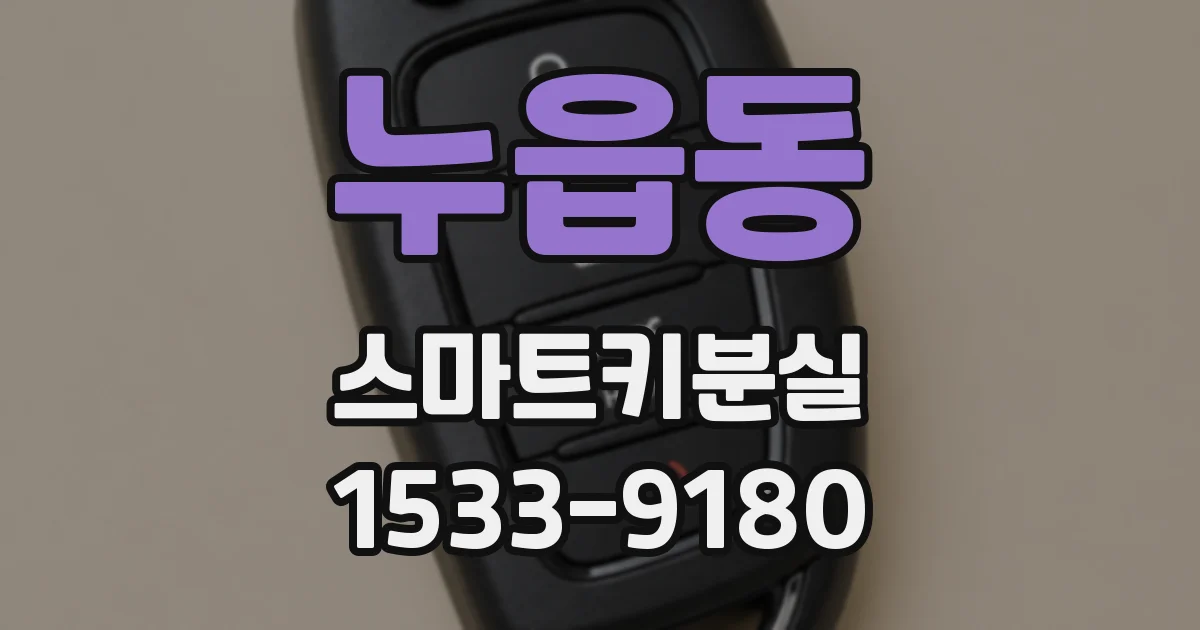 누읍동 스마트키분실