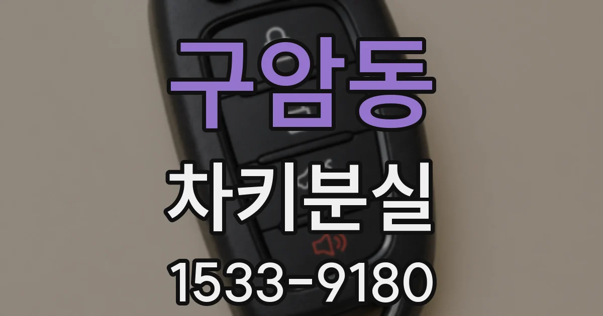 구암동 차키분실