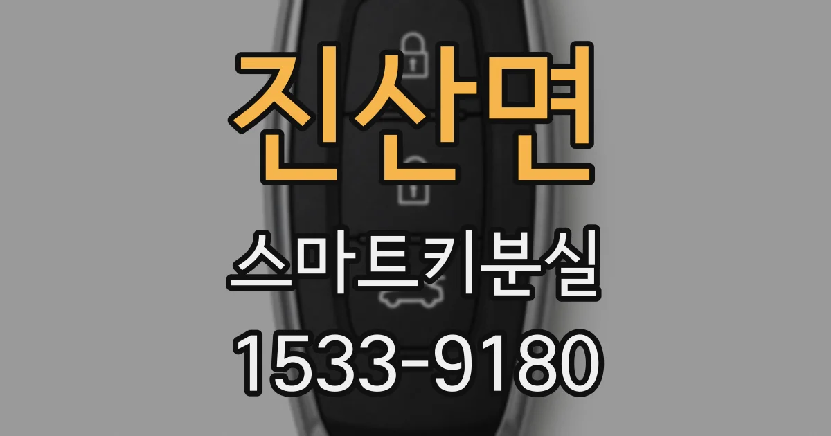 진산면 스마트키분실