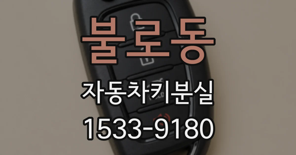 불로동 자동차키분실