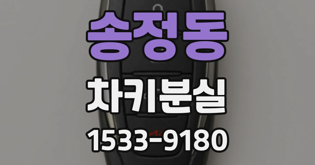 송정동 차키분실