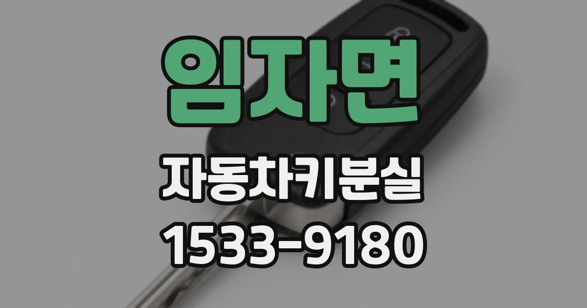 임자면 자동차키분실