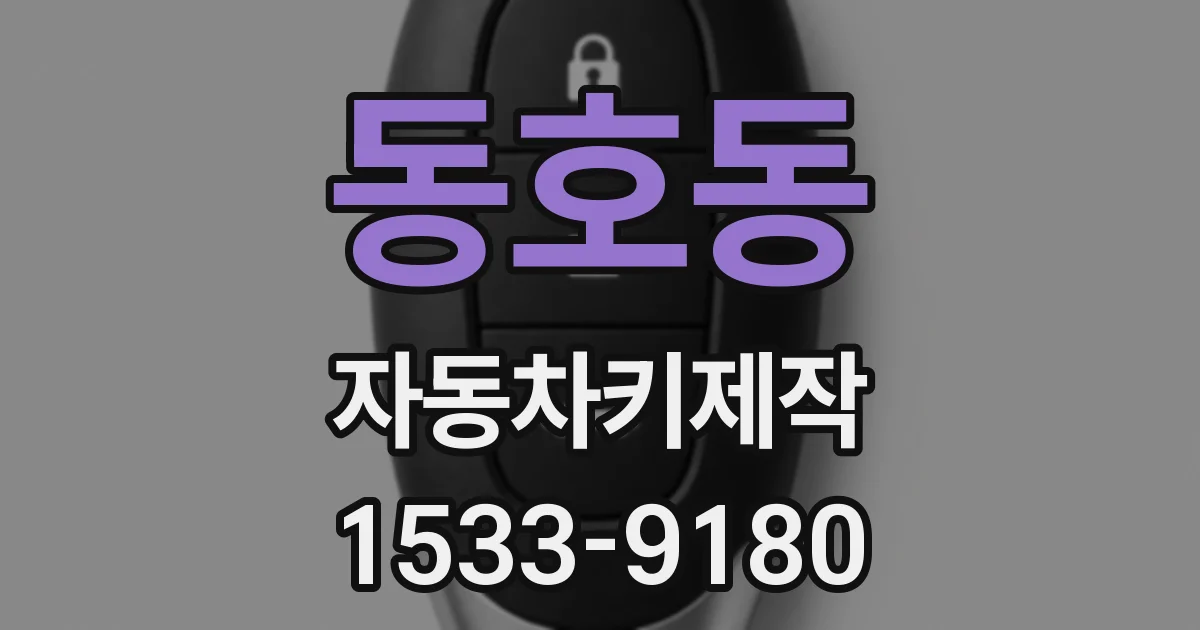 동호동 자동차키제작