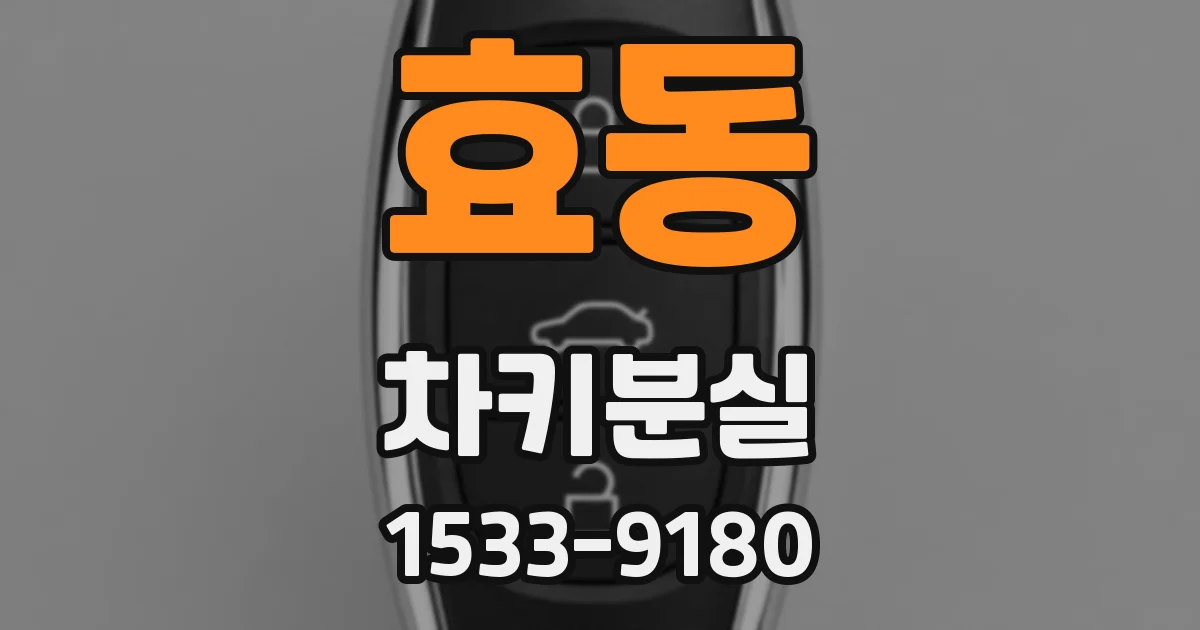 효동 차키분실