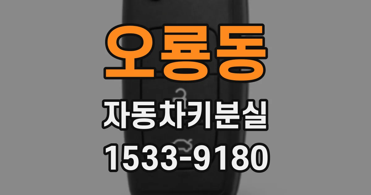 오룡동 자동차키분실