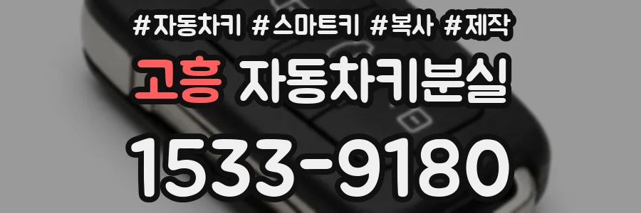 고흥 자동차키분실