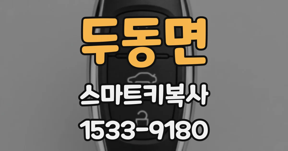 두동면 스마트키복사