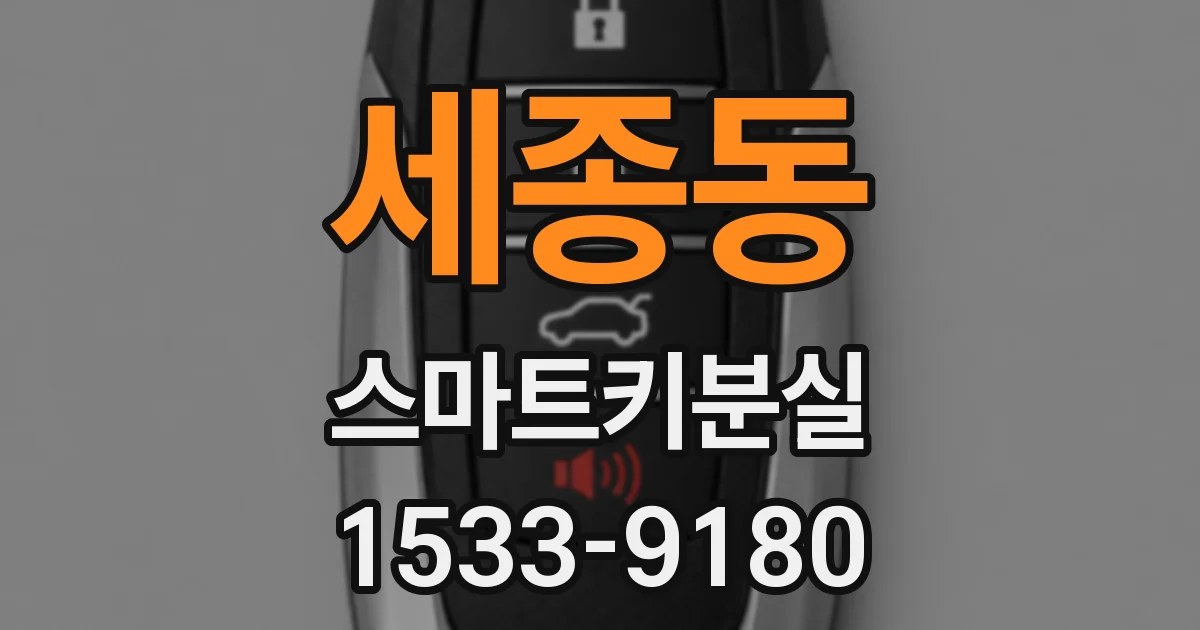 세종동 스마트키분실